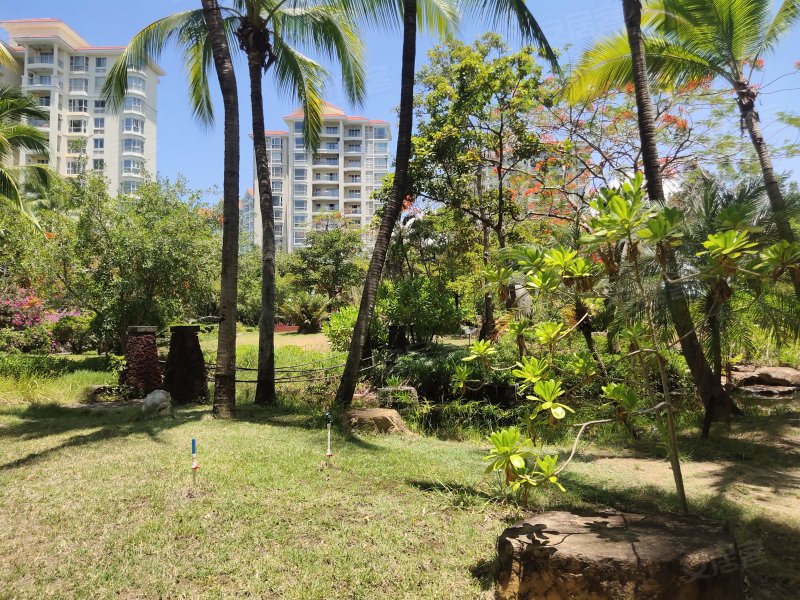 阳光海岸,三亚湾路210号-三亚阳光海岸二手房,租房,房价-三亚安居客