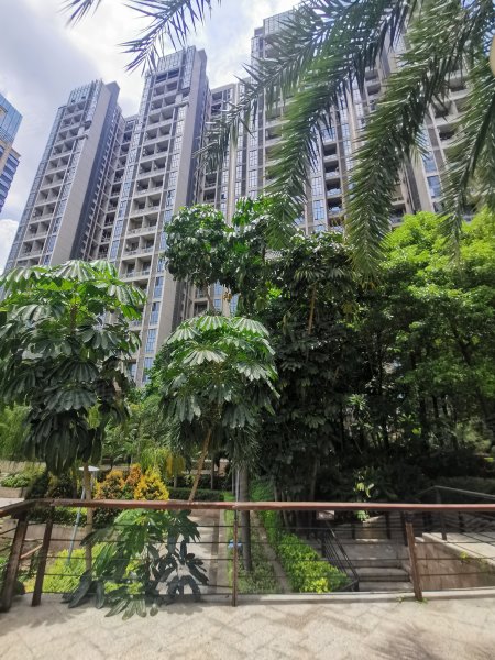 大田花园,镇东路50号-广州大田花园二手房,租房,房价-广州安居客