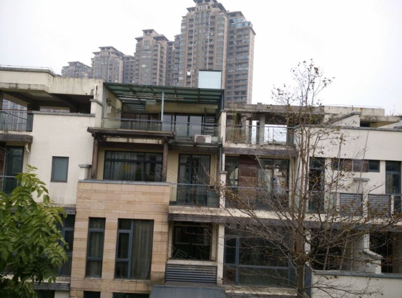 泰禾红树林(2期别墅)