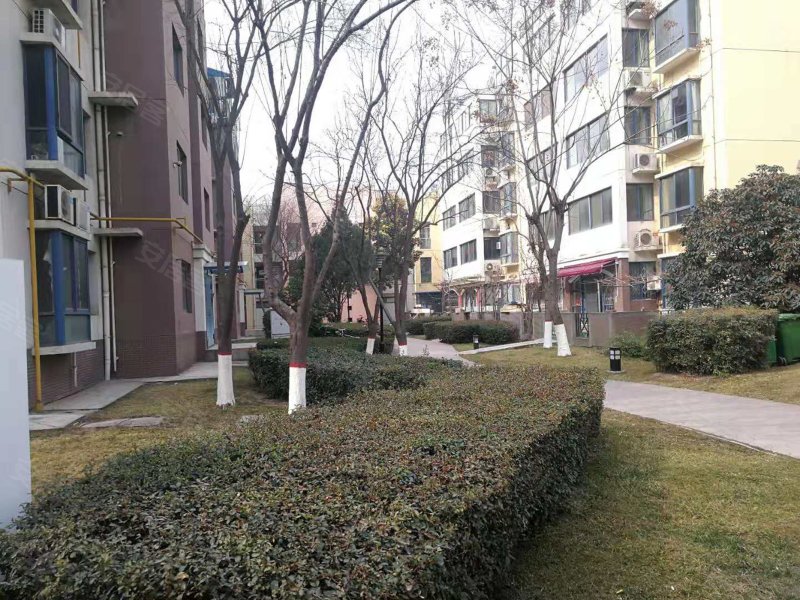 金泰丝路花城