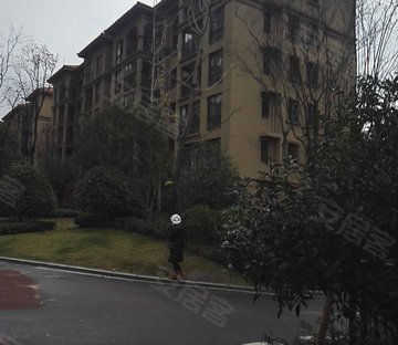 四季枫景
