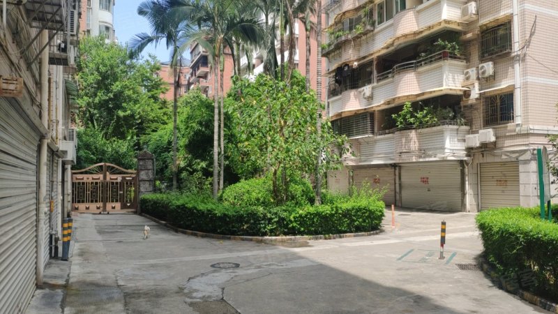 港龙花园,筼筜路36-64号-厦门港龙花园二手房,租房,房价-厦门安居客