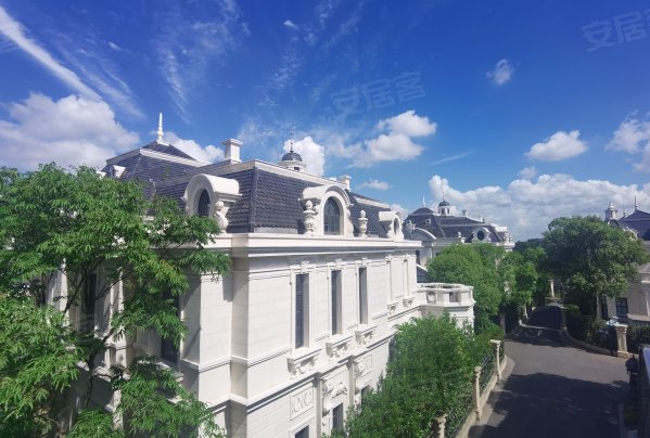 亚洲十大豪宅之一 独栋城堡式的别墅 般的家居生活,远洋博堡二手房