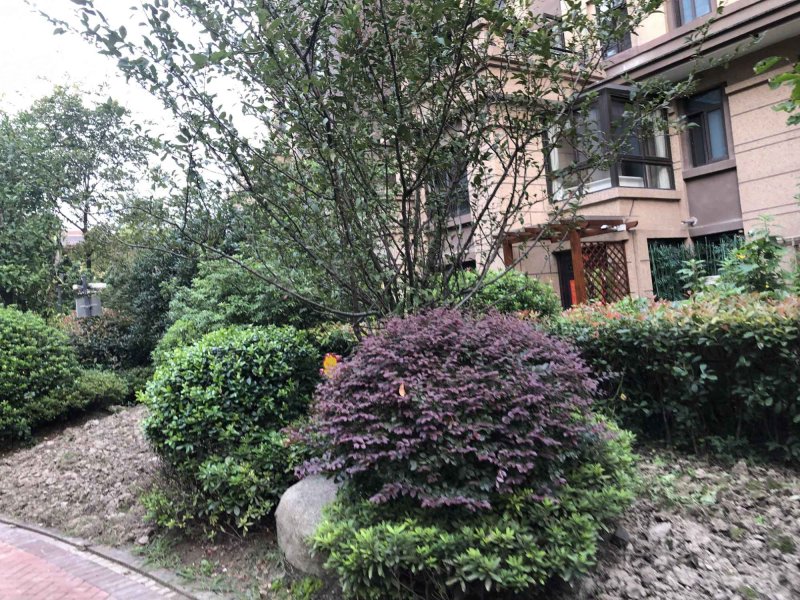 新城香溢澜庭(南区) 