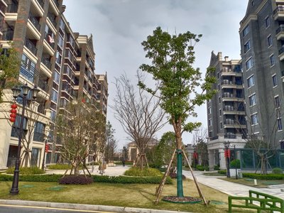 恒大香湖左岸小区图片相册,嘉兴恒大香湖左岸实景图,室外图,小区配套