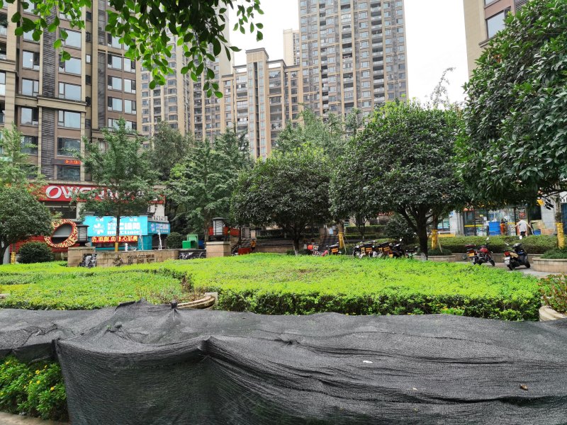 鲁能星城六街区