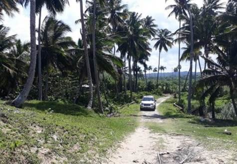 多米尼加约¥162万多米尼加共和国北海岸的海滩地段出售 - 建造一个德拉姆家！二手房土地图片