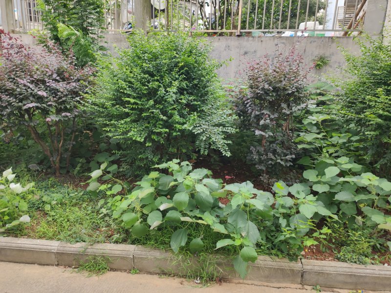 滨江茗园,建新路-湘阴滨江茗园二手房,租房,房价-湘阴安居客