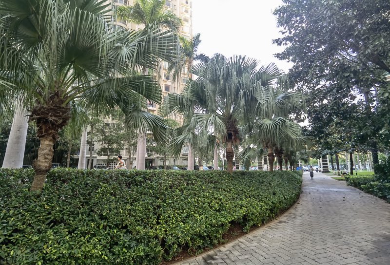 紫荆花园(一区)