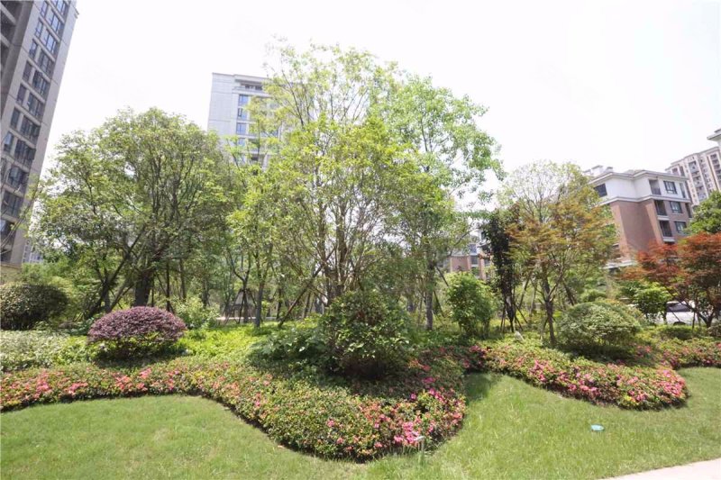 绿都南江壹号,晨晖路,近高桥路-杭州绿都南江壹号二手房,租房,房价