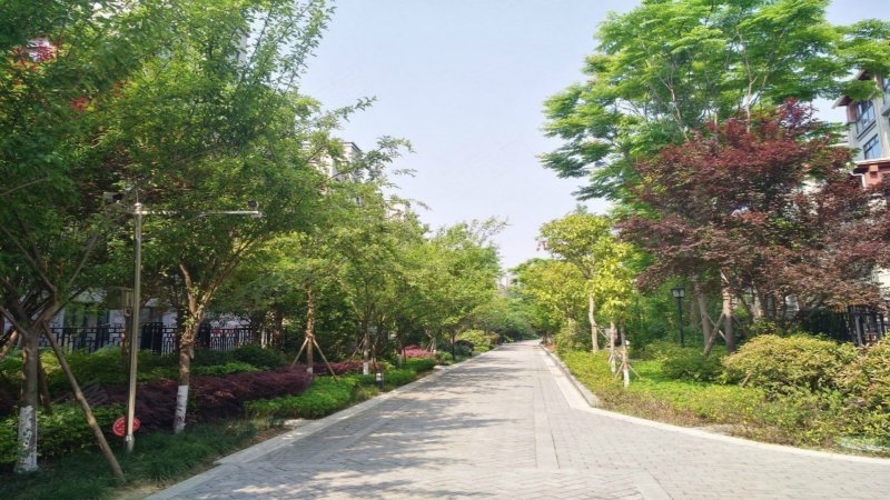 观花府邸,科技路9号-绵阳观花府邸二手房,租房,房价-绵阳安居客