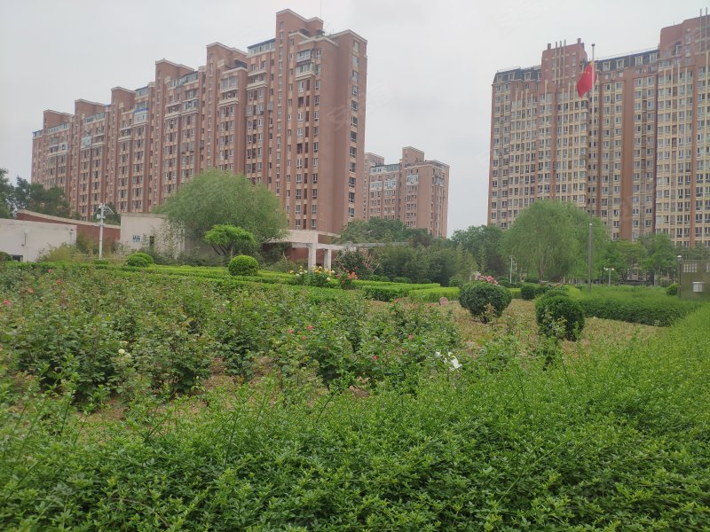 万年花城玫瑰碗(万年花城三期)