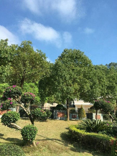 港珠湾山庄,泉星路92号