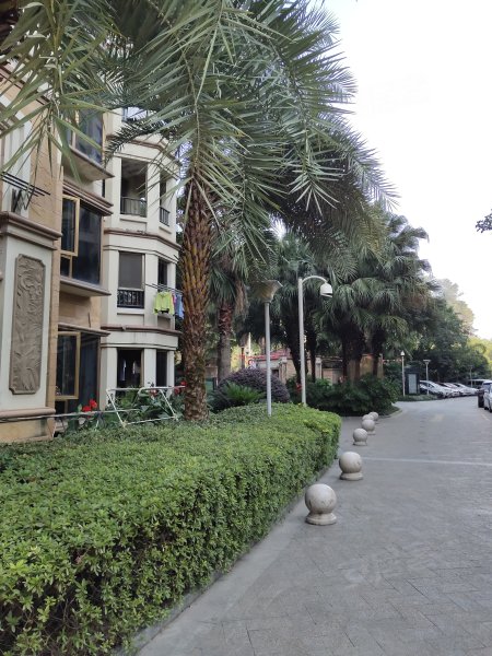 中梁棕榈湾,过境路-温州中梁棕榈湾二手房,租房,房价-温州安居客