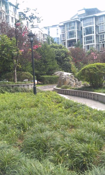 林湾家园,沱江路80号-成都林湾家园二手房,租房,房价-成都安居客