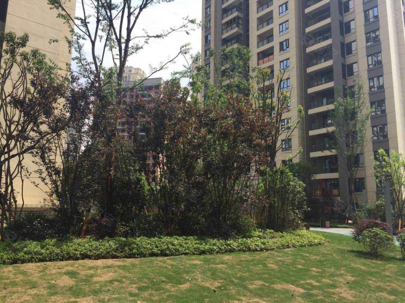 财信北岸江山(北区)