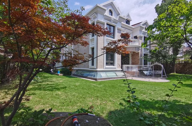 大华西郊别墅5室5厅418㎡3000万二手房图片