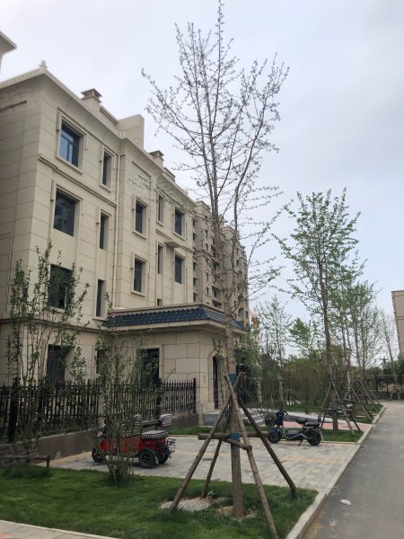 金悦城,裕华东路-保定金悦城二手房,租房,房价-保定安居客