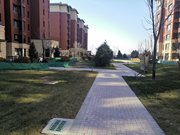 鲲鹏街小区图片