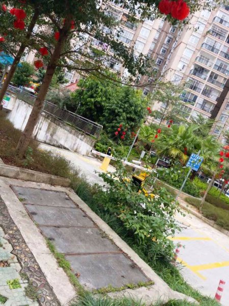 宝丰园宝丰大厦,星光大道223号-南宁宝丰园宝丰大厦二手房,租房,房价