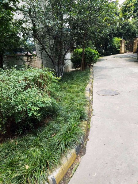 天府花园(2期),蓝天路38号-成都天府花园(2期)二手房,租房,房价-成都