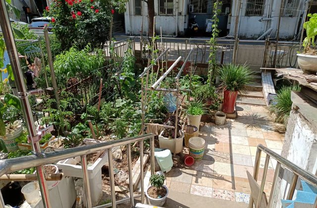 芙蓉园精装两房 采光好26667元/㎡360万高先生房东江宁东山文靖路138