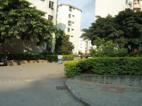 金侨花园,东环一路421号-深圳金侨花园二手房,租房,房价-深圳安居客