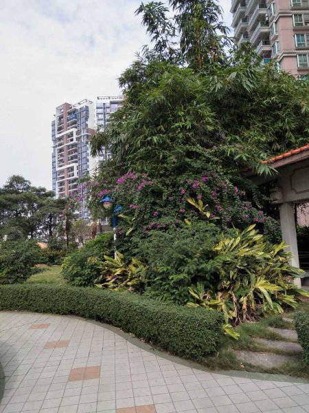 聚龙湾花园,裕兴路-东莞聚龙湾花园二手房,租房,房价-东莞安居客