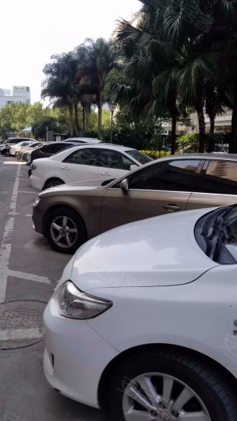 南国大厦,前庄路-温州南国大厦二手房,租房,房价-温州安居客