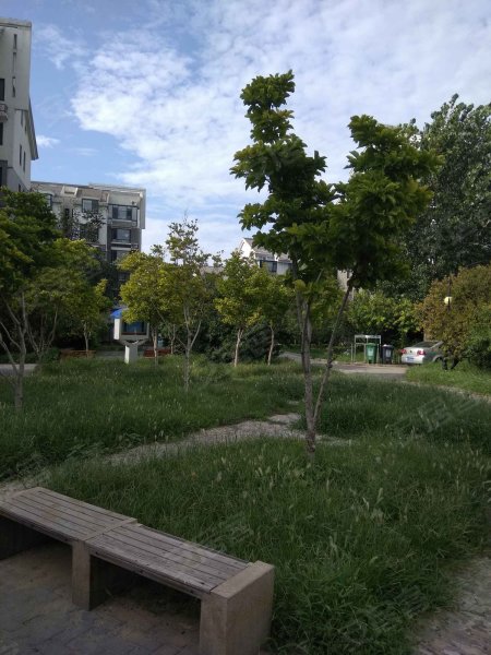 桃花岛