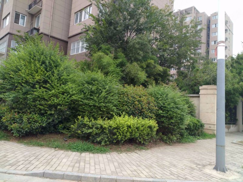 湖西雅苑c区,开元路-徐州湖西雅苑c区二手房,租房,房价-徐州安居客