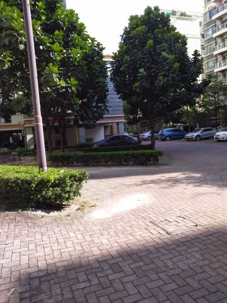 阳光花地,盛华路34号-中山阳光花地二手房,租房,房价-中山安居客