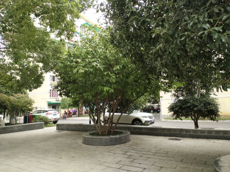 南滨花园二区,衢江南路-衢州南滨花园二区二手房,租房,房价-衢州安居