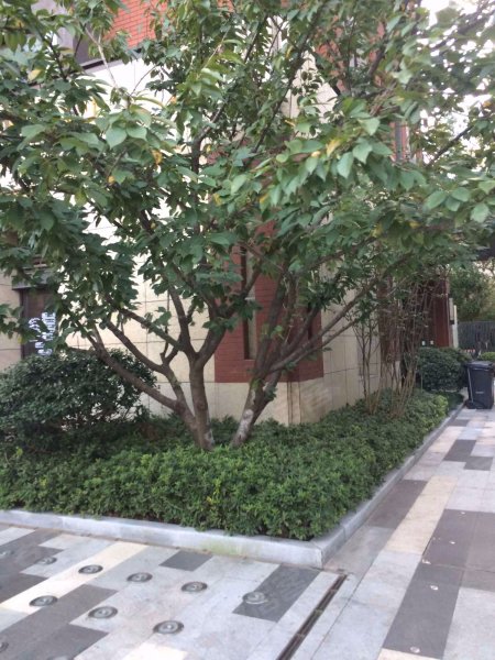 万科翡翠公园(一期) 