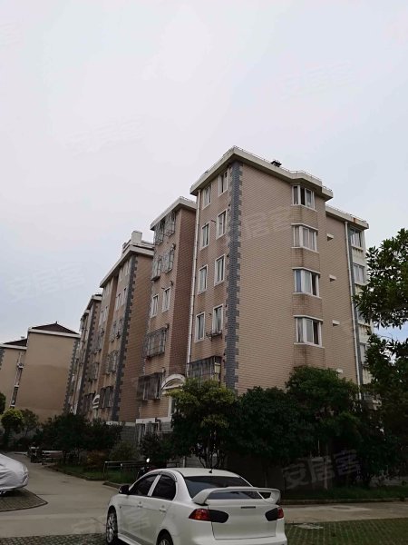 金星绿苑(西区) 