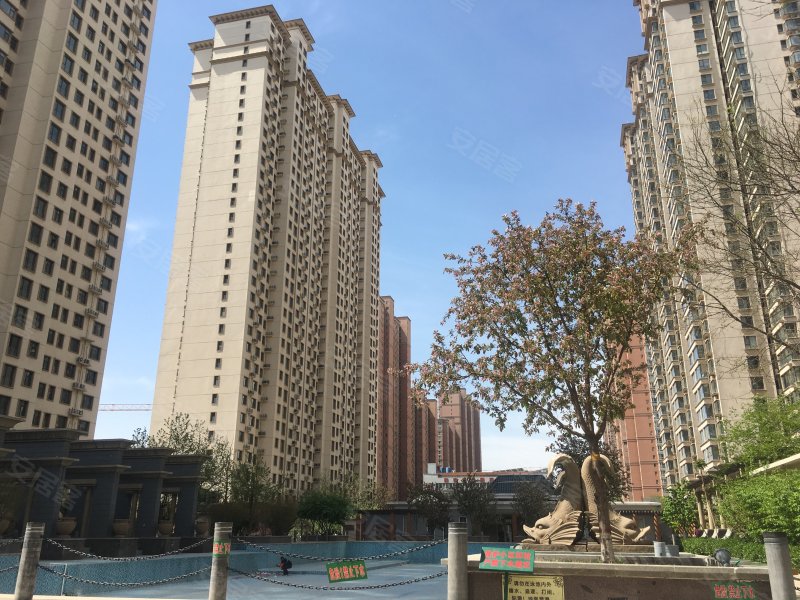 金谈固国瑞城a区