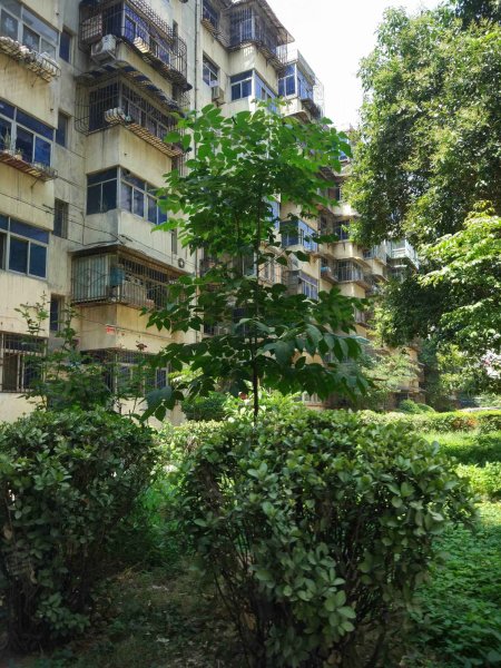 新科花园,科技路18号-西安新科花园二手房,租房,房价-西安安居客