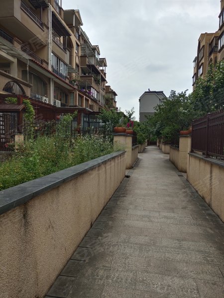 桃溪河畔