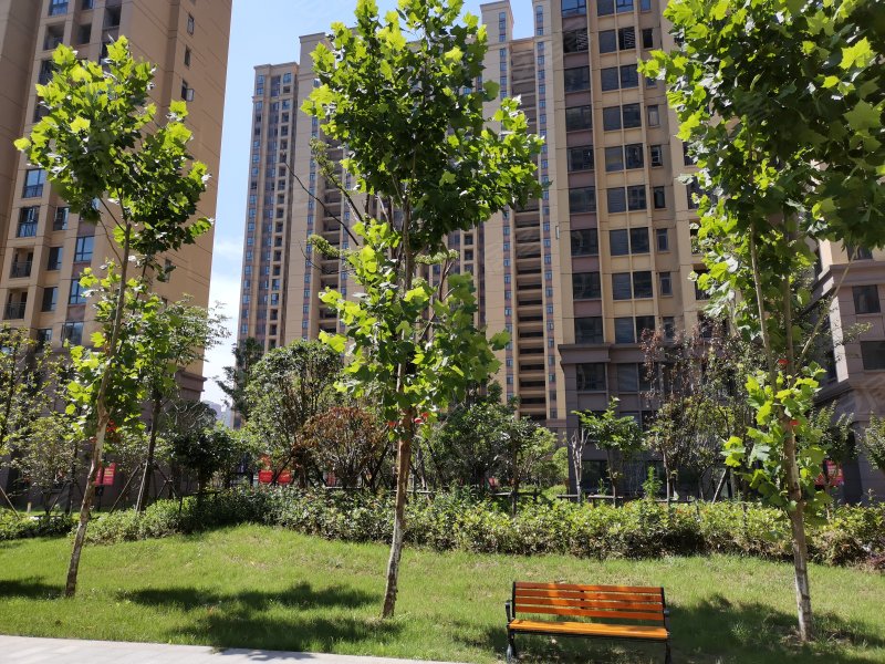 博森翰林城,监利大道-荆州博森翰林城二手房,租房,房价-荆州安居客