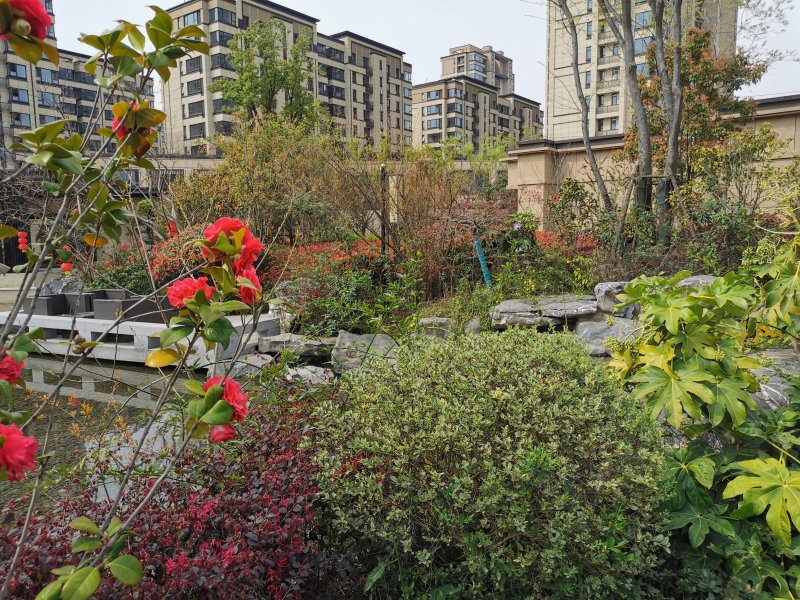 合景映月湾,肥西路,近临泉路-合肥合景映月湾二手房,租房,房价-合肥