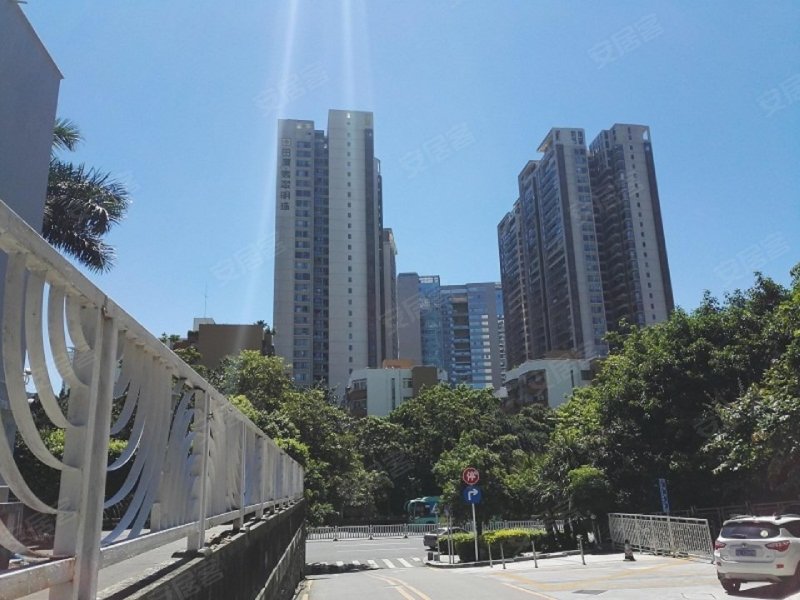 田厦翡翠明珠花园,金鸡路1号-深圳田厦翡翠明珠花园二手房,租房,房价