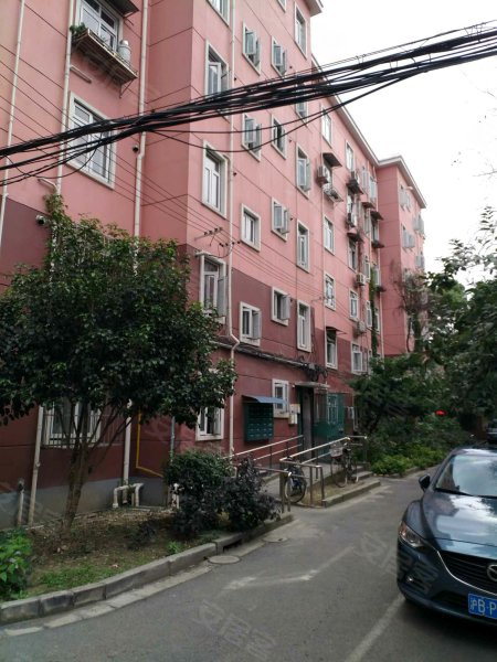 共建小区(西区) 