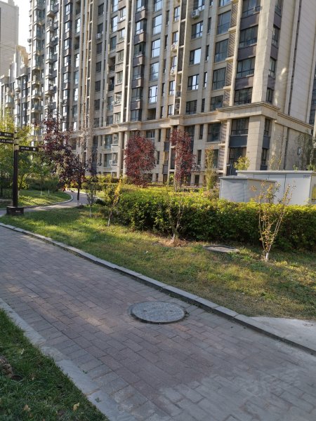 绿地新里中央公馆a区