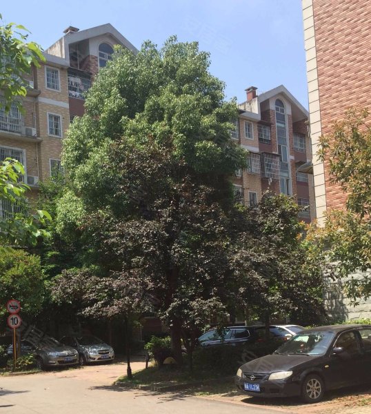 山水庭院c区,洞井路-长沙山水庭院c区二手房,租房,房价-长沙安居客