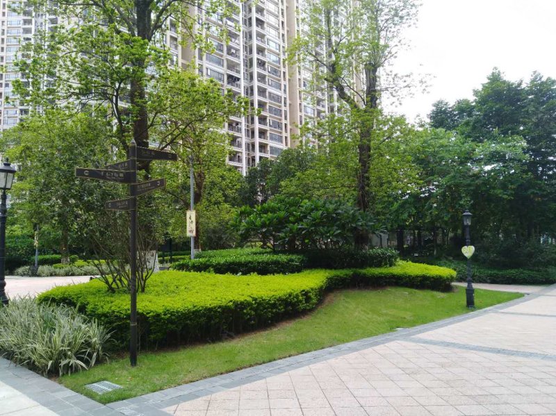 中信森林湖,东莞大道-东莞中信森林湖二手房,租房,房价-东莞安居客