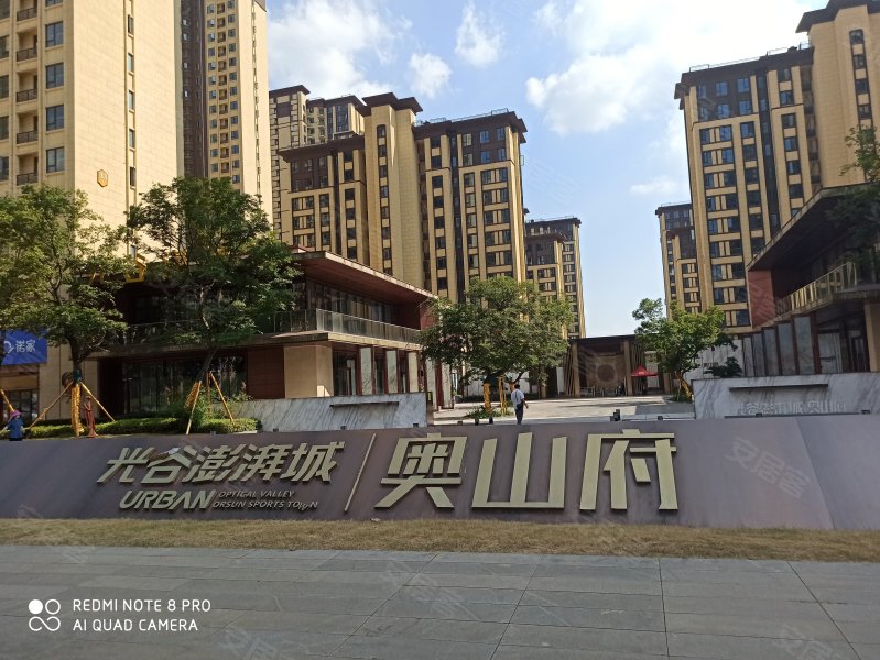 光谷澎湃城奥山府