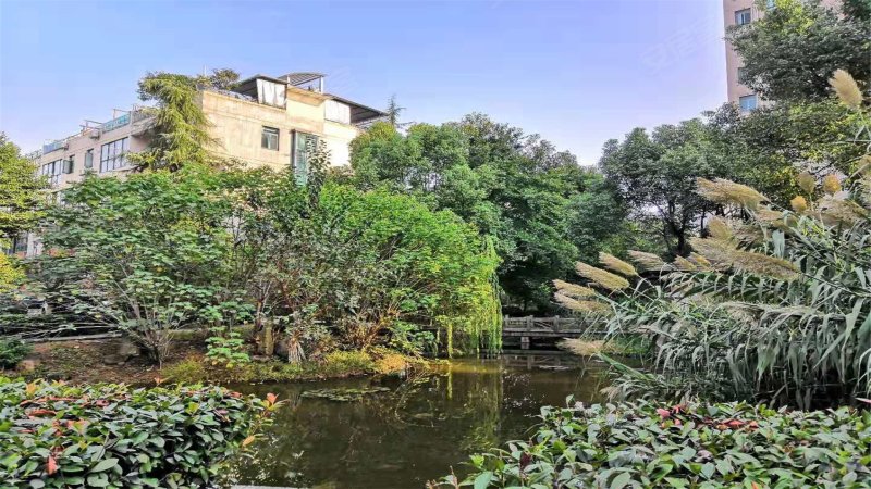 保集半岛,八一南街1688号-金华保集半岛二手房,租房,房价-金华安居客