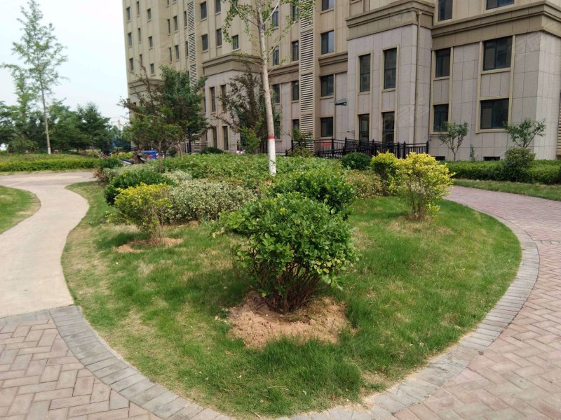 朐山国际,骈邑路4985号-临朐朐山国际二手房,租房,房价-临朐安居客