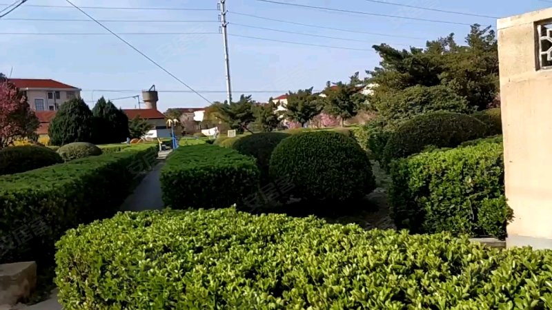 前进农场海燕新村,海燕新村19-138号-上海前进农场海燕新村二手房