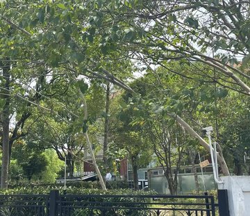 晨岛花苑(别墅)